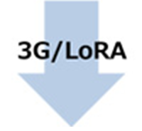 3G/LoRA